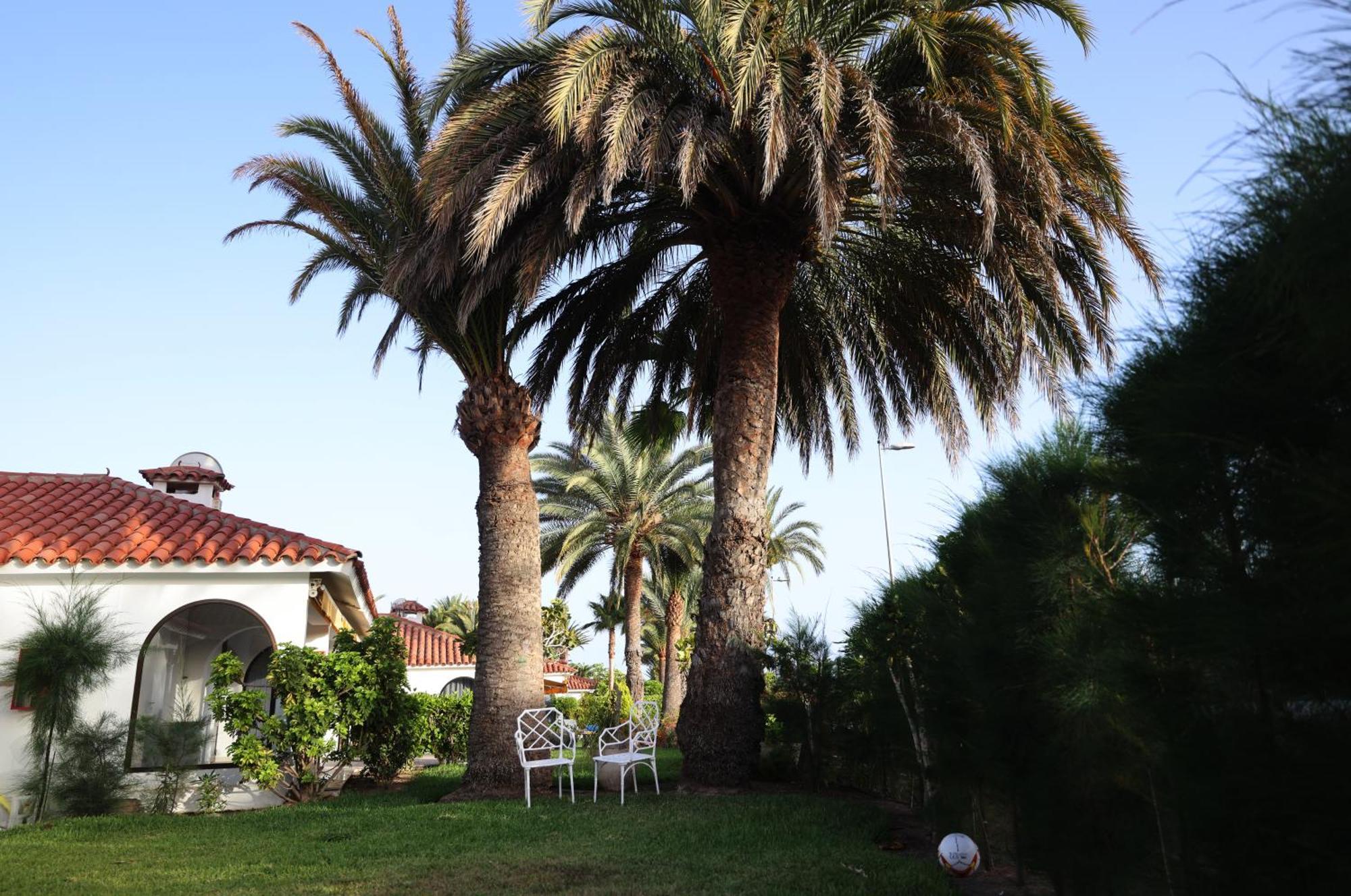 Sun Club Playa Del Ingles Hotel Kültér fotó